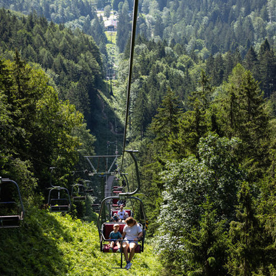 Bild von Bergfahrt Erwachsener